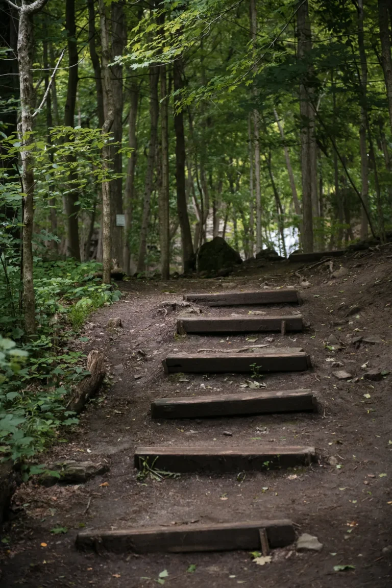 rustic wooden stairs lead into the woods. A couple stand and look at a raging waterfall. Engagement Session Shot at Sherman Falls, Ancaster, by Pixelesque Photography - Hamilton Wedding Photographer.