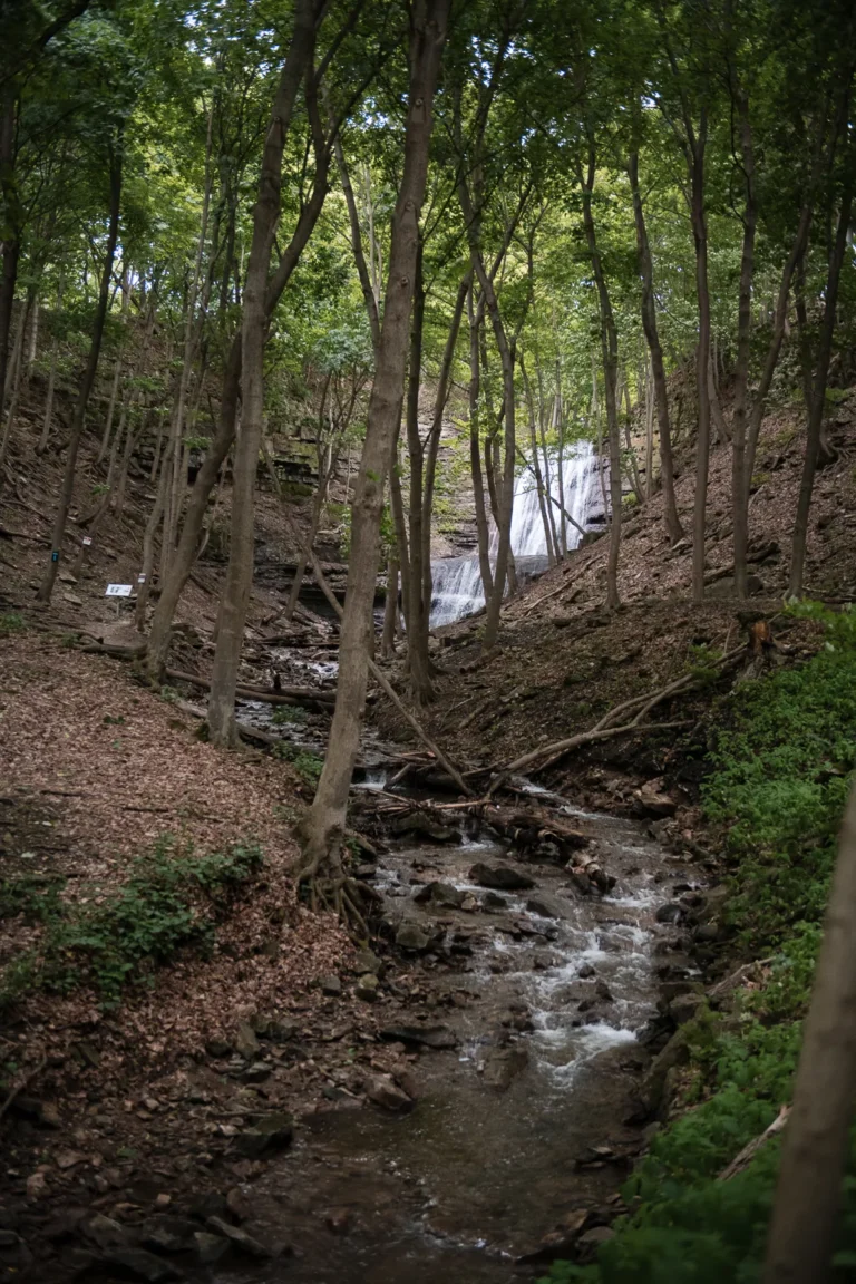 a waterfall in the distance rages and a creek is in the foreground. A couple stand and look at a raging waterfall. Engagement Session Shot at Sherman Falls, Ancaster, by Pixelesque Photography - Hamilton Wedding Photographer.