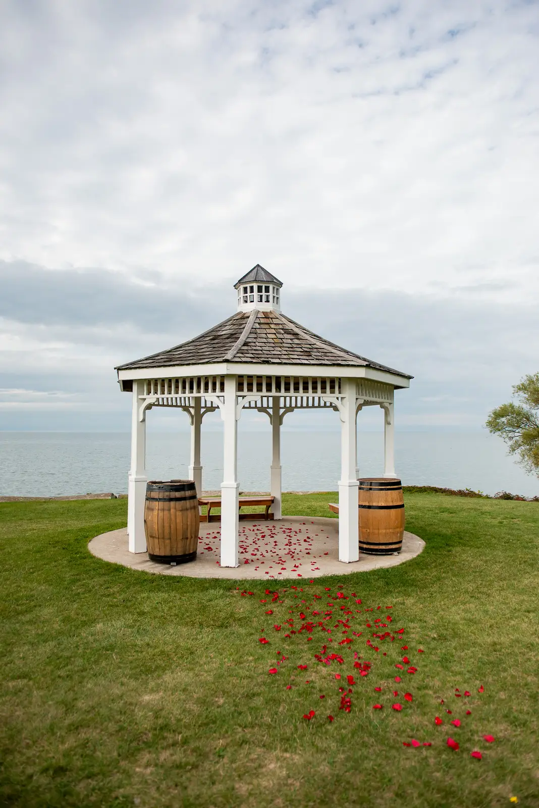 Surprise proposal at Konzelmann Estate Winery in Niagara-on-the-Lake overlooking Lake Ontario