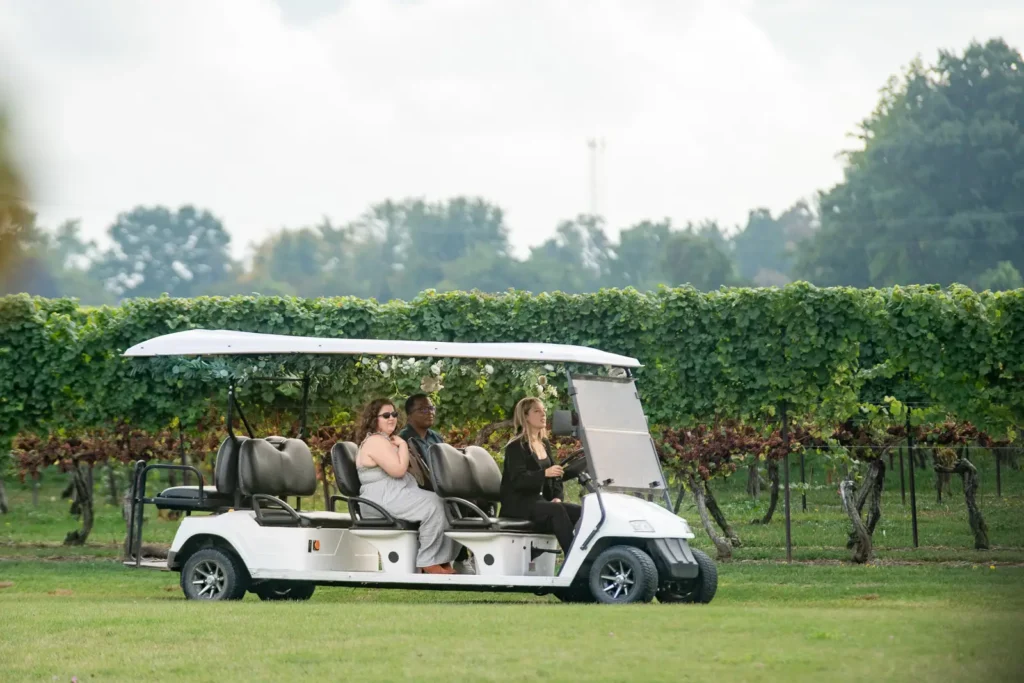 Surprise proposal at Konzelmann Estate Winery in Niagara-on-the-Lake overlooking Lake Ontario