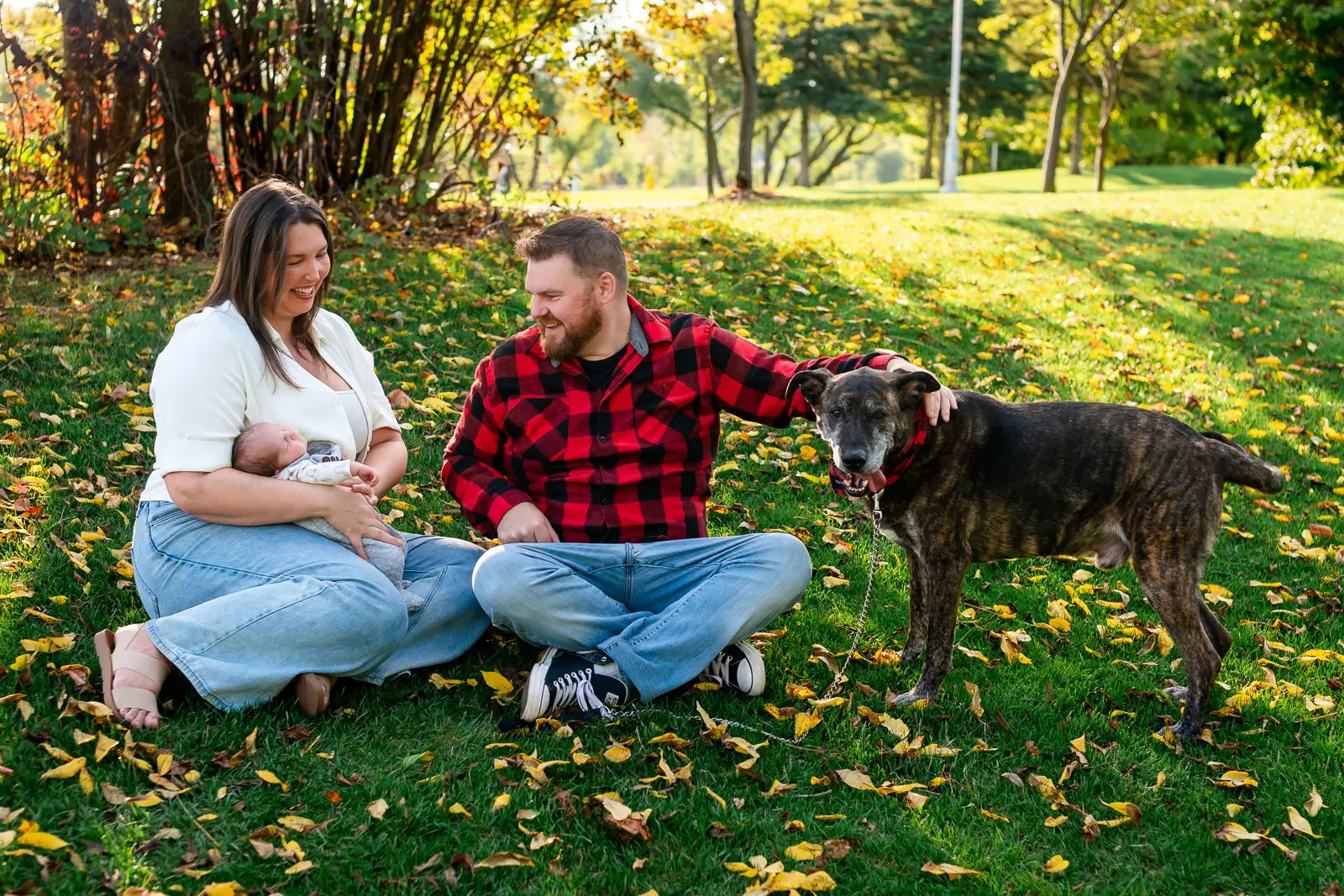 a mother holds her newborn in her lap. She, the father and their dog are sitting beside them on the grass covered in fallen autumn leaves. Shot at bayfront park by Pixelesque photography - Hamilton Family Photographer