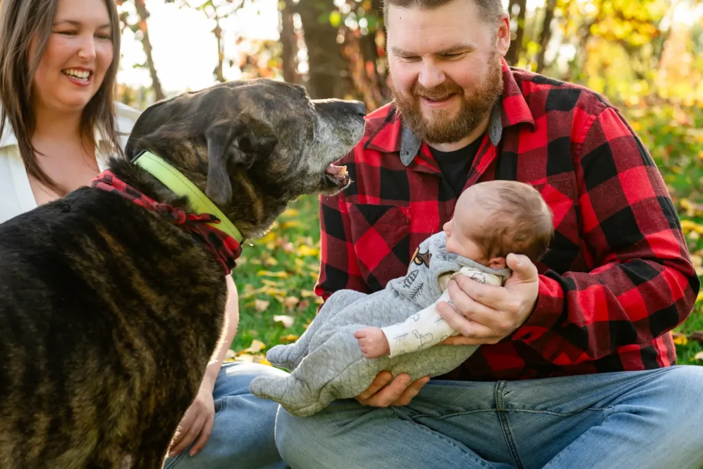 a man holds up his baby to greet their dog who is barking at the father. Shot at bayfront park by Pixelesque photography - Hamilton Family Photographer